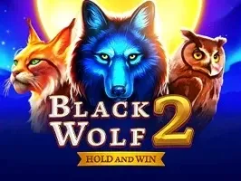 Black Wolf 2 game cover